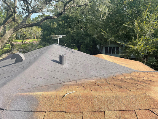 Shingle roof coating